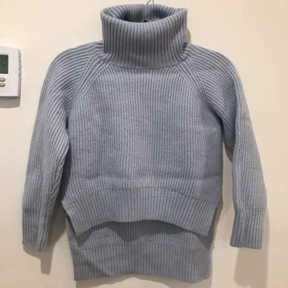 Aritzia Blue Sweater